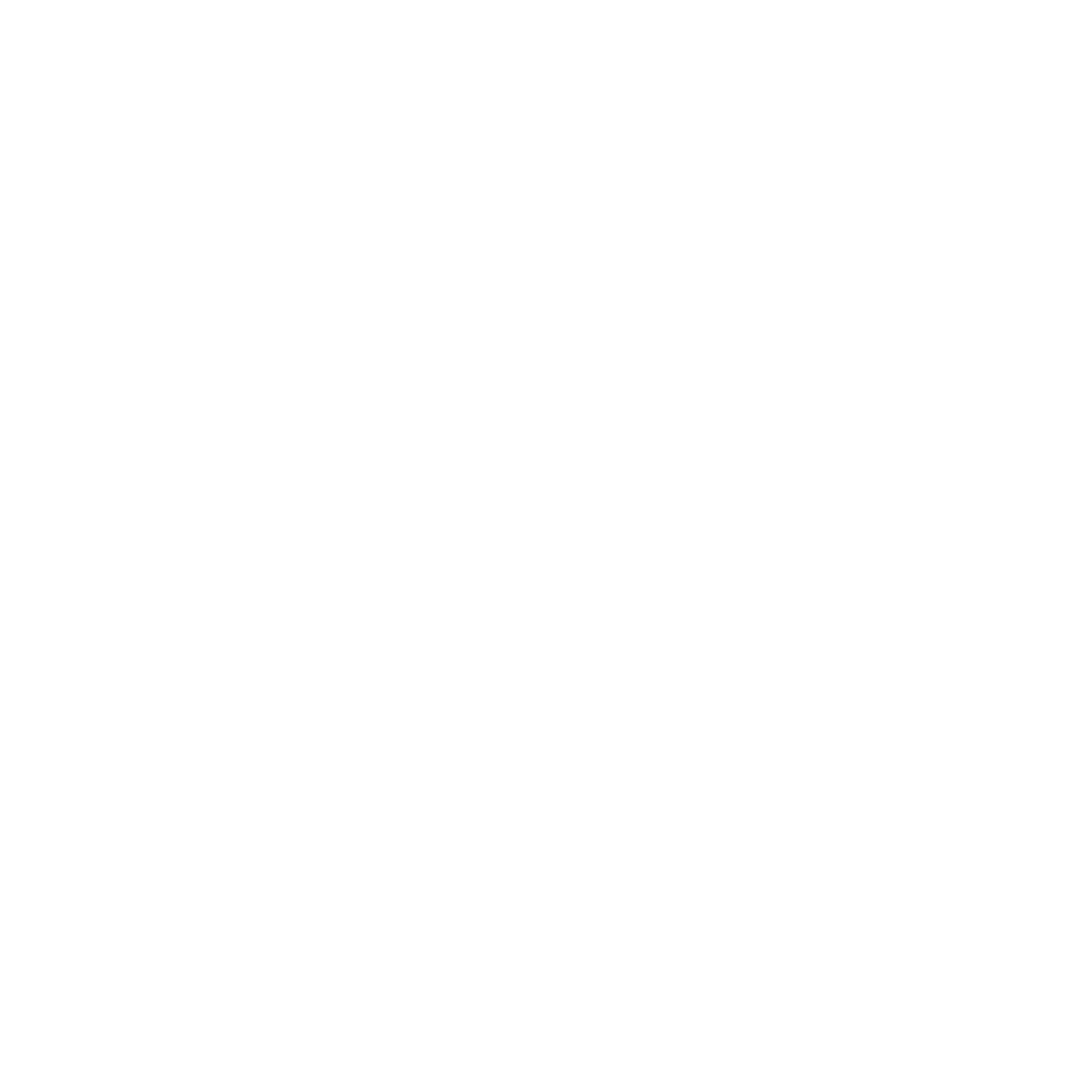 Rebel Ranch Ministries logo